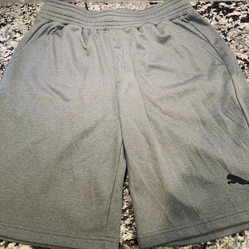Puma Shorts Size Large